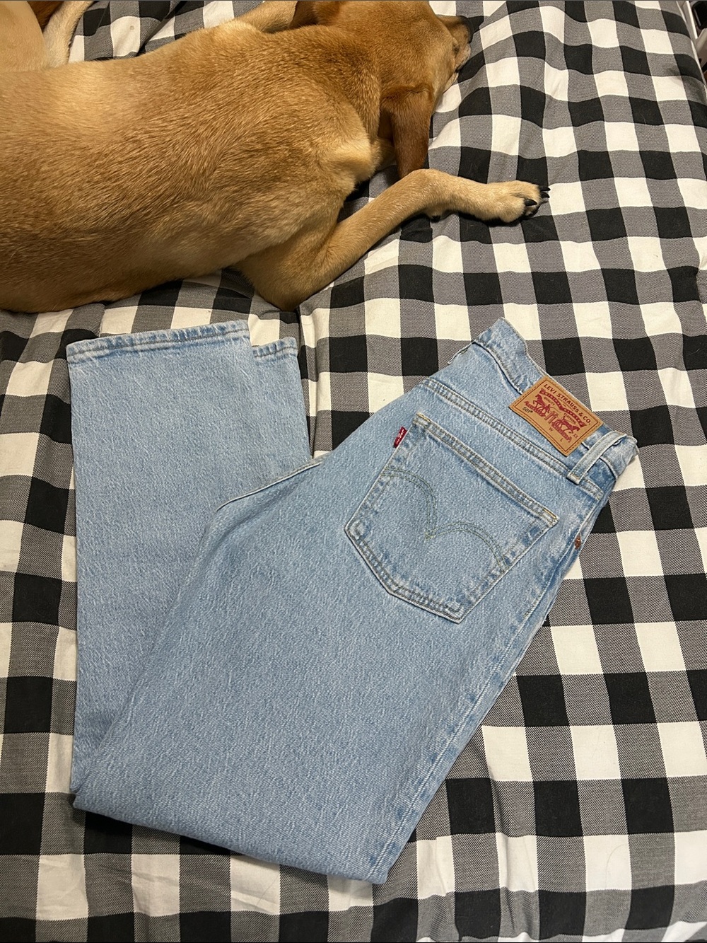 High Rise Levi's Light Blue Denim Jean